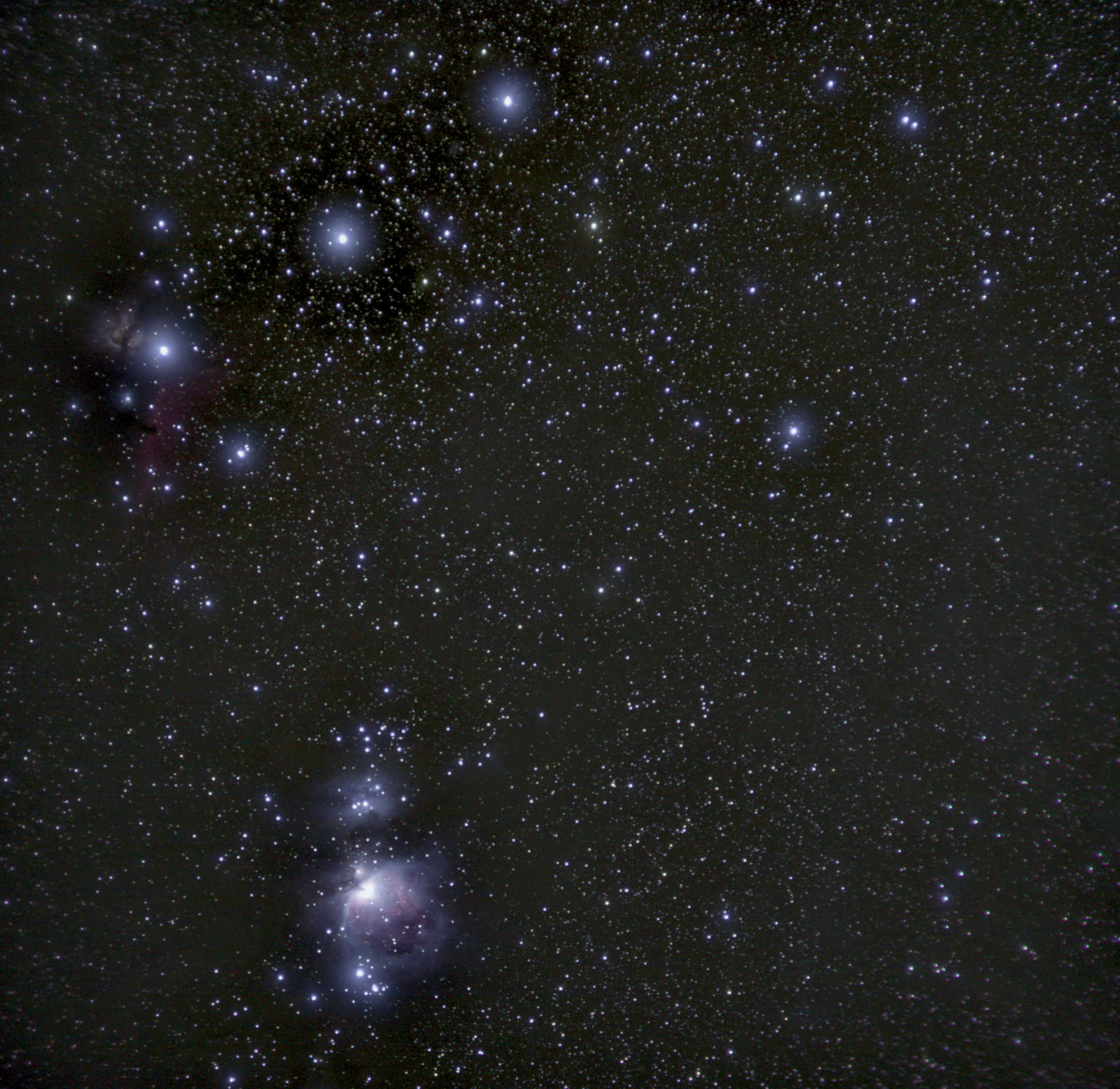 Orion